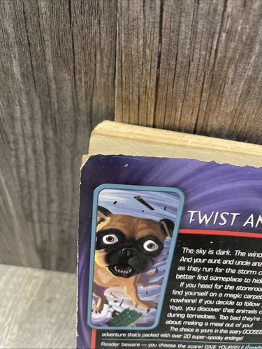 1st Print #38 Into the Twister of Terror Give Yourself Goosebumps RL Stine - Picture 10 of 18