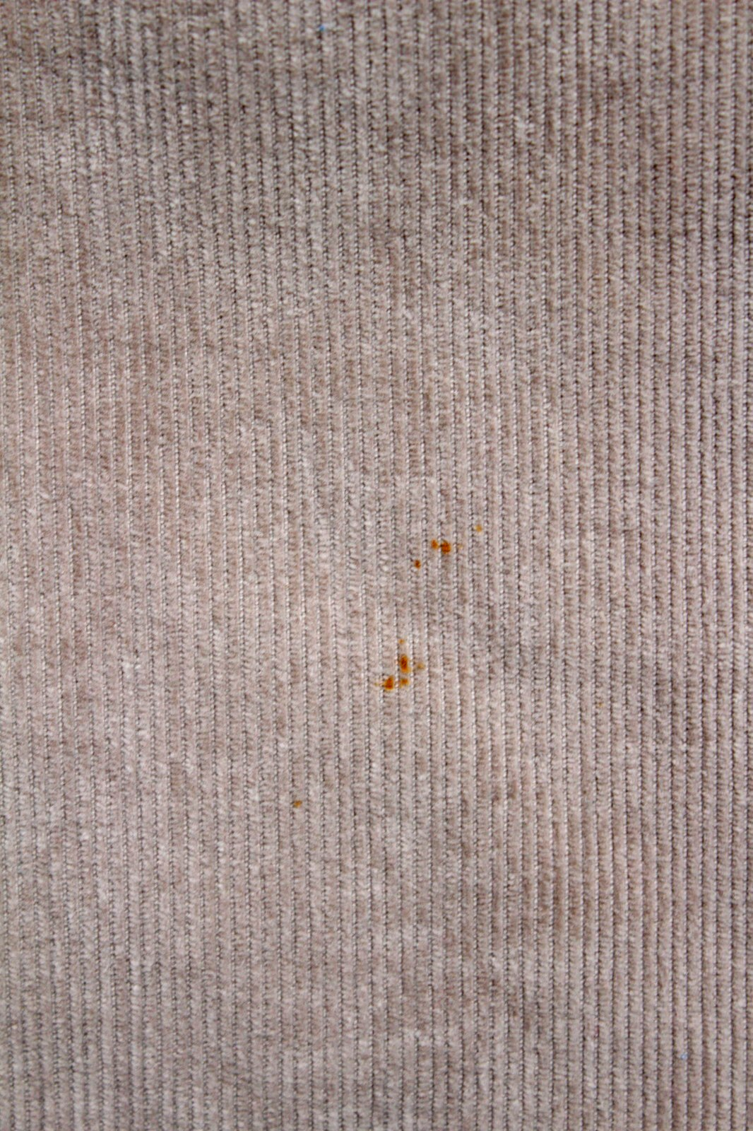 Picture 6 of 12