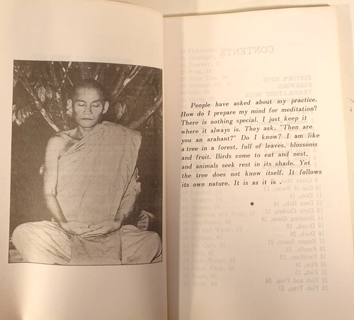 A Tree in A Forrest by Dhamma Garden - Picture 7 of 10