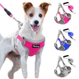 matching dog harness and leash