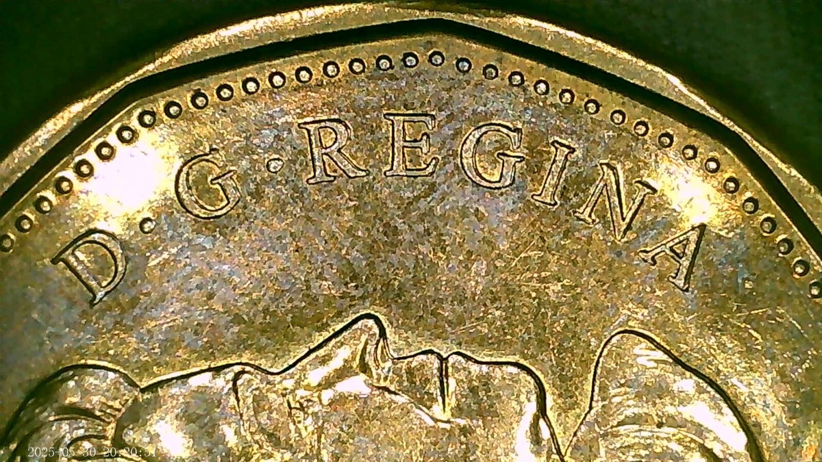 2012 Canadian Loonie Double Die Mint Error Coin #4 | eBay