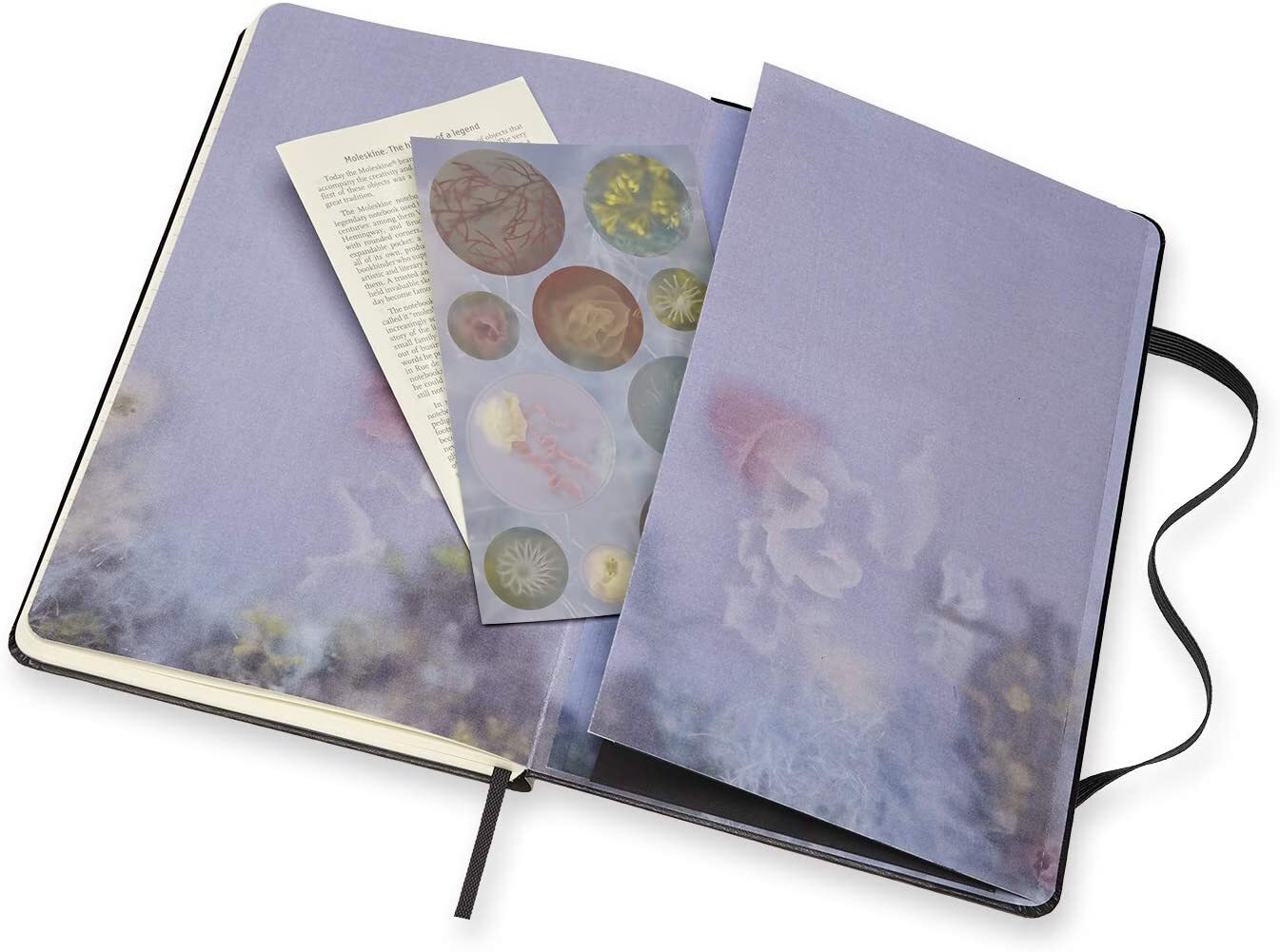 Thumbnail - Studio Coll Large Plain Sonia Alins Book Neu