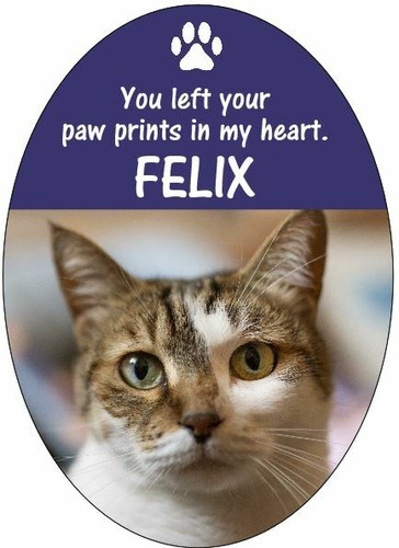 Croce commemorativa per animali domestici (hai lasciato le impronte delle zampe) - PERSONALIZZABILE - Foto 4 di 7