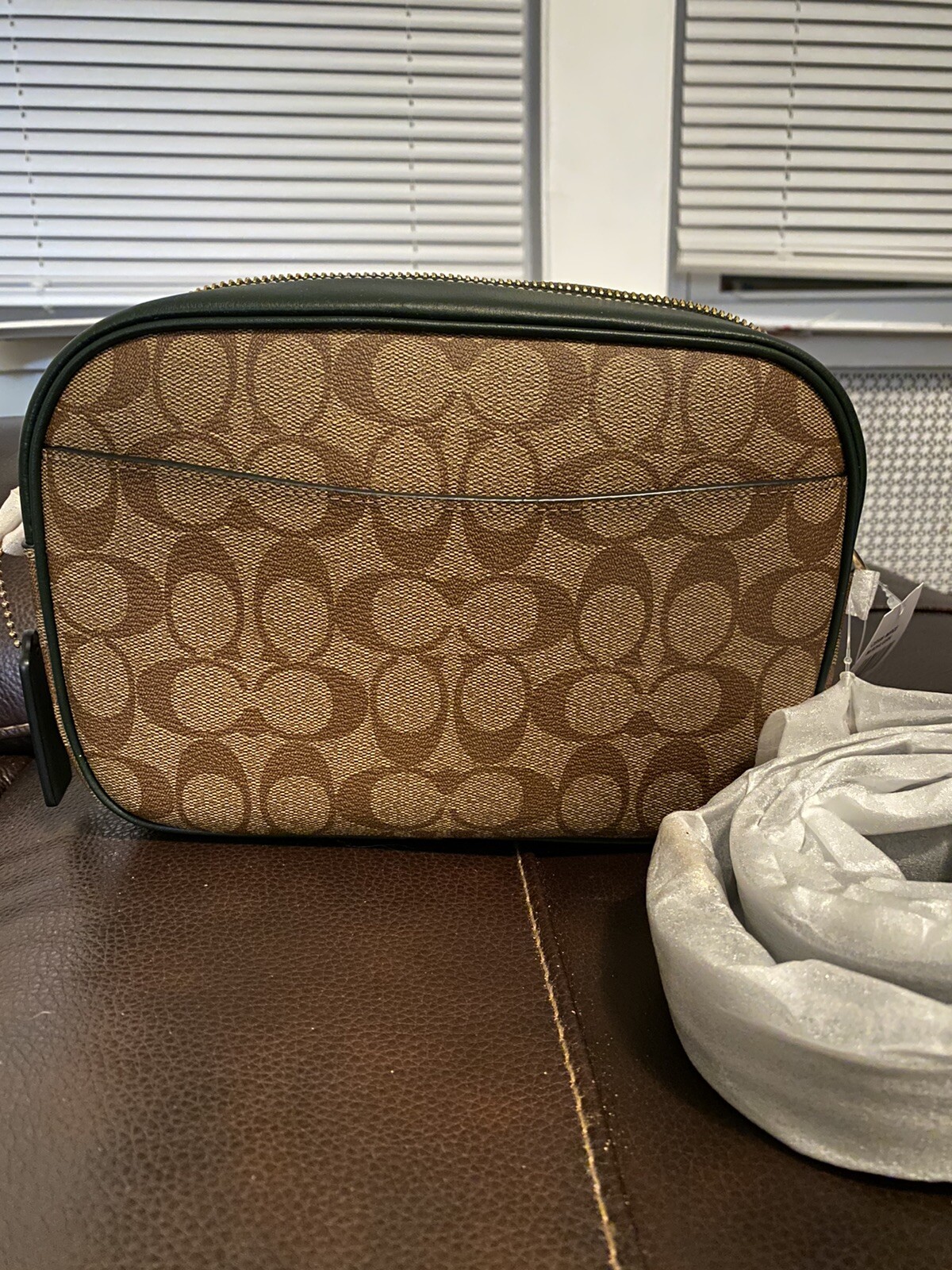 Picture 6 of 11