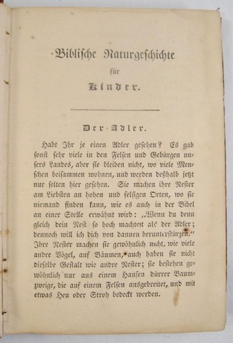 Biblische Naturgeschichte Biblical Natural History Book W N Cook Circa 1850 (O) - Picture 12 of 12