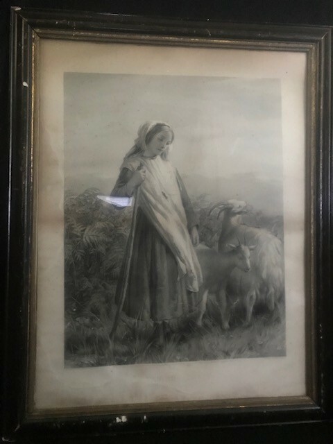 Picture 1 of 12