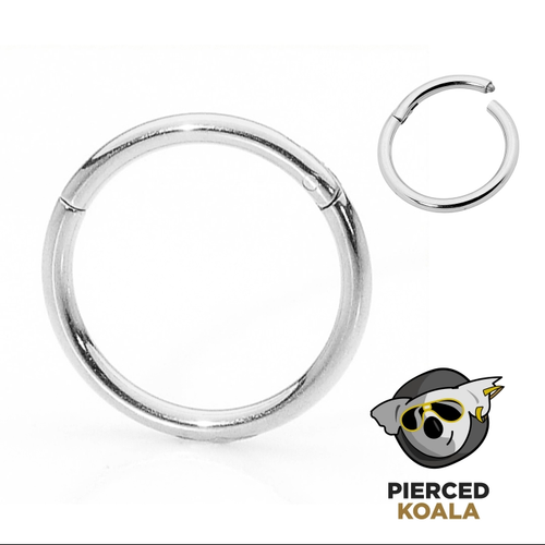 2Pcs Titanium 20G 18G Hinged Segment Septum Tragus Nose Lip Ring Sleeper Earring - Video 1 of 1