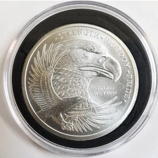 1 Troy Ounce American Eagle Liberty Silver .999 Silver Coin Collectibles