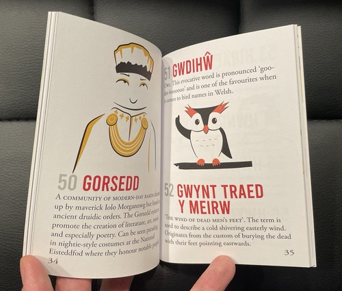 WALES IN 100 WORDS by Garmon Gruffudd Y Lolfa Cyf 2023 1st Ed. Welsh Language - Picture 9 of 11
