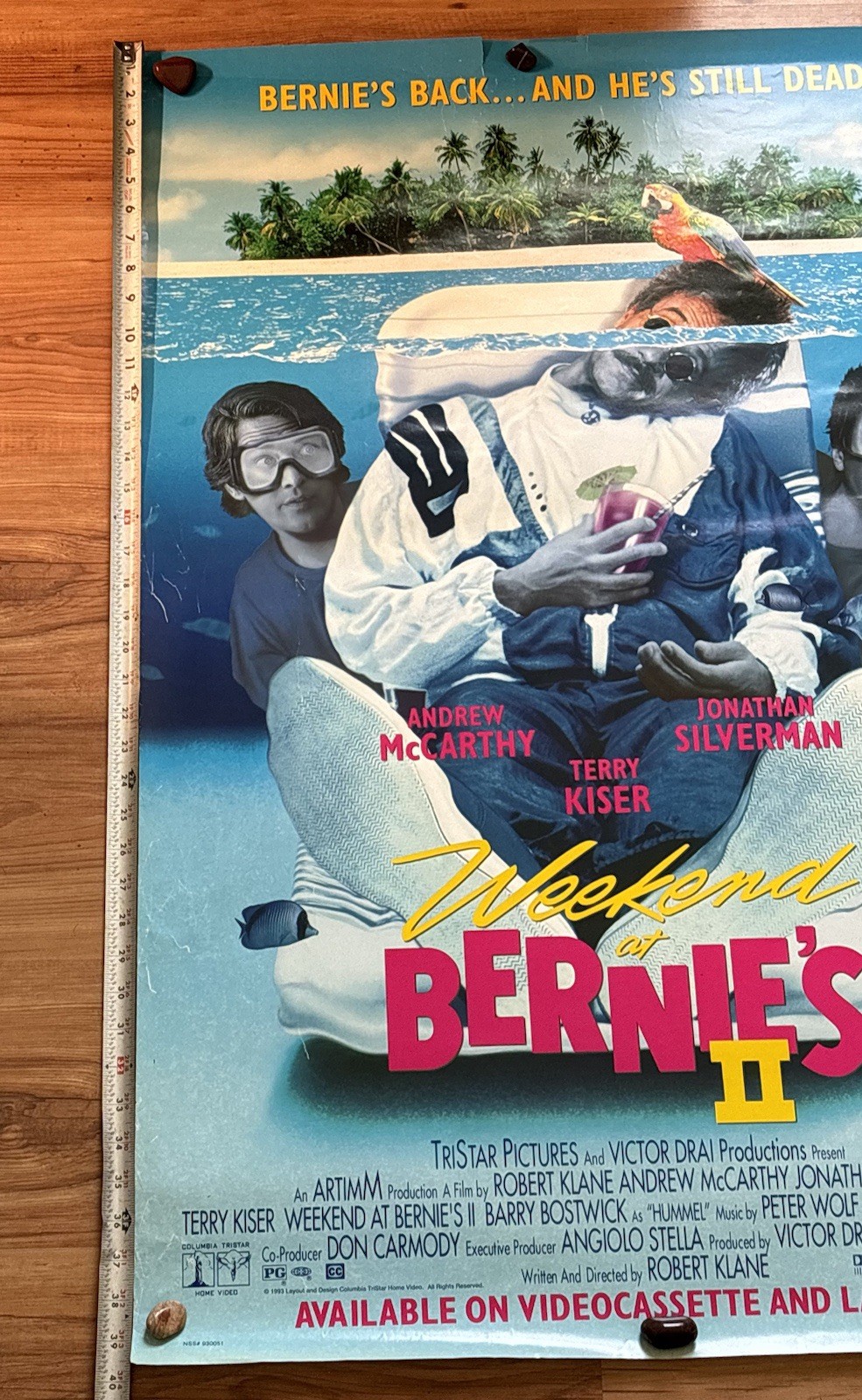 Picture 12 of 13