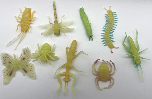 Insects - Glow in the Dark - Picture 18 of 20