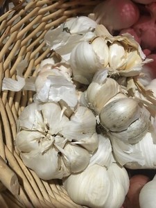 1-lb-certified-organic-034-ugly-034-garlic-seconds
