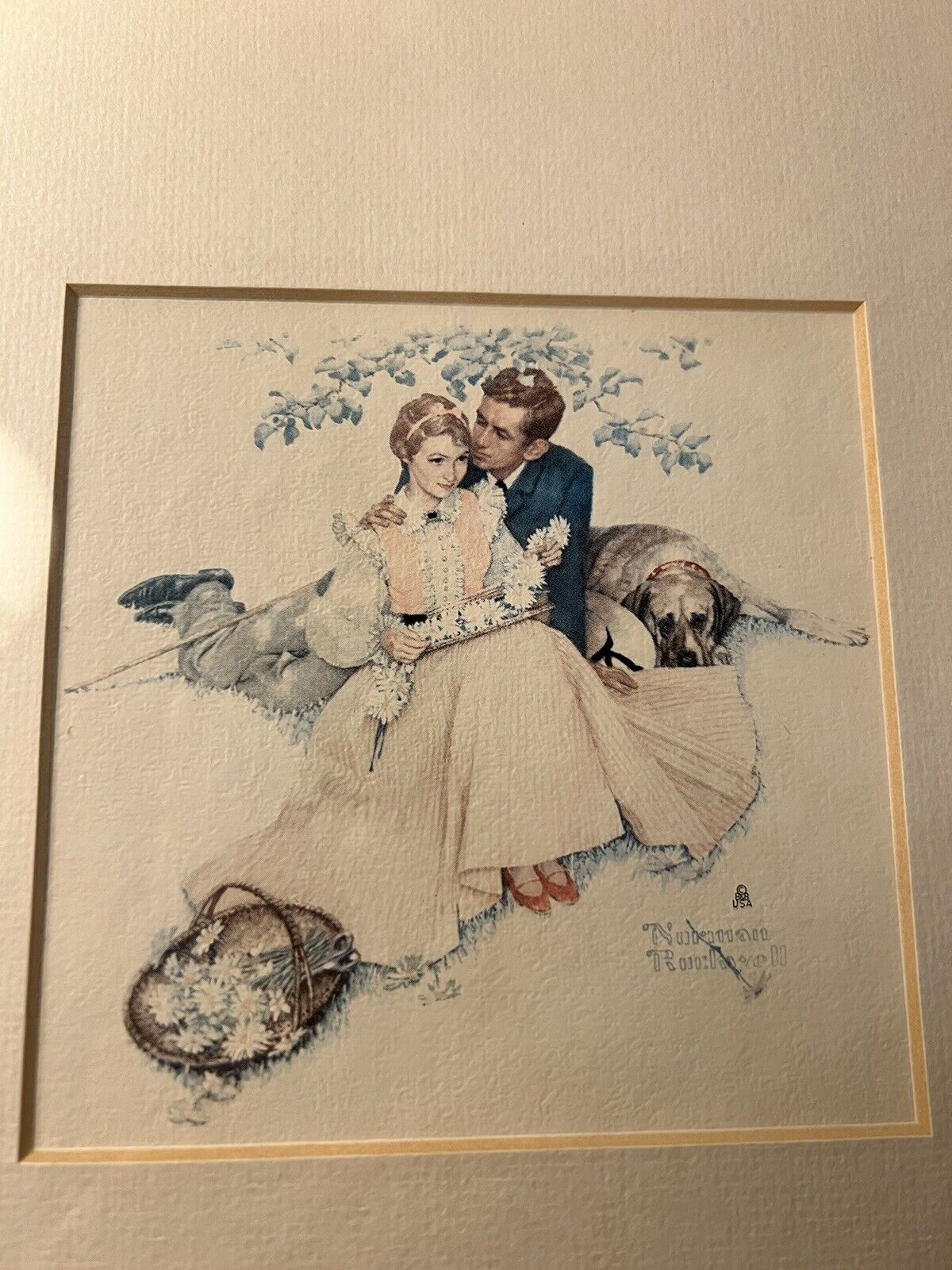 Picture 2 of 15
