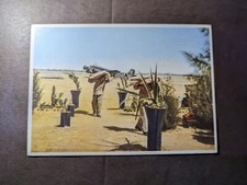 Mint Germany Military Aviation Postcard Junkers and Air Transport Airplane