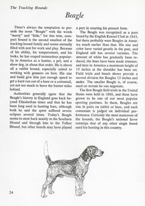 The Beagle - CUSTOM MATTED - Vintage Dog Art Print - "G"