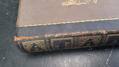 Museum Of Antiquity Illustrated Yaggey Haines 1881 Antique Vintage - Foto 2 di 24
