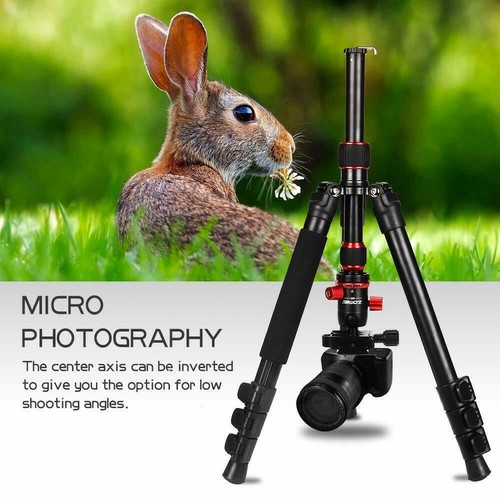 Zomei For Canon Camera DSLR Nikon Sony Smartphone M5 Potable Tripod Monopod - Picture 6 of 11