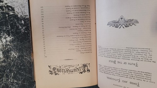 Museum Of Antiquity Illustrated Yaggey Haines 1881 Antique Vintage - Foto 19 di 24