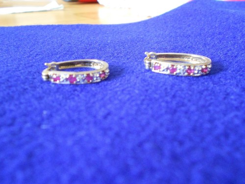 Beautiful Vermiel Horse Shoe Hoop Diamond and Garnet Earrings - Bild 4 von 10