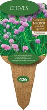 Chive Plants - 3 x 10cm Plug Herb Plants. (Allium