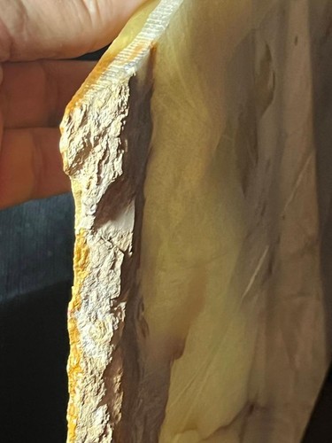 Künstler signiert Original Tiger Portrait Kunst Ölgemälde auf Stein oder Marmorplatte - Bild 9 von 15