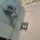 Picture 6 of 7