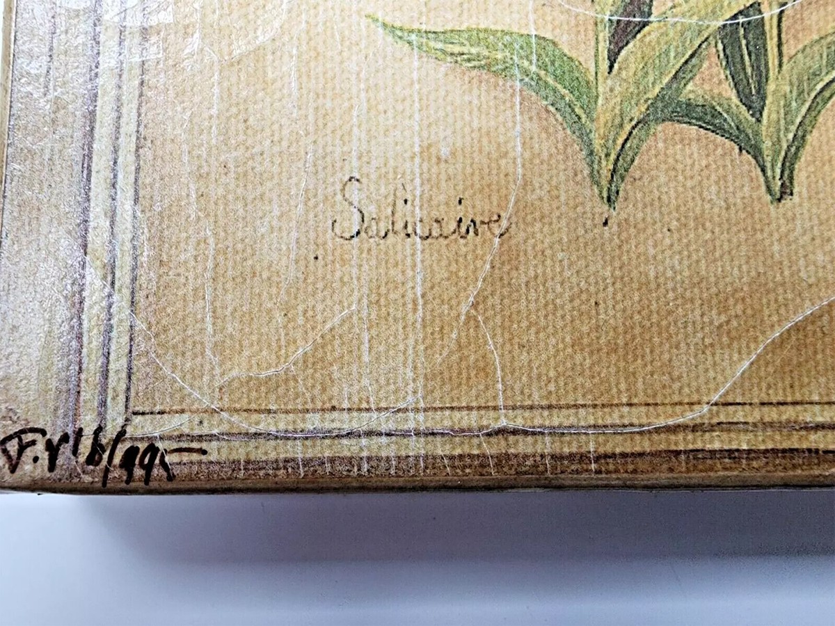 ファブリス・ドゥ・ヴィルヌーブ　Fabrice De Villeneuve Fabrice de Villeneuve Authentic Canvas Painting - Limited