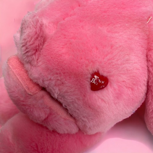 2003 Care Bears Love A Lot Bär spricht und bewegt singend Plüsch 13 Zoll funktioniert Teste - Bild 5 von 9