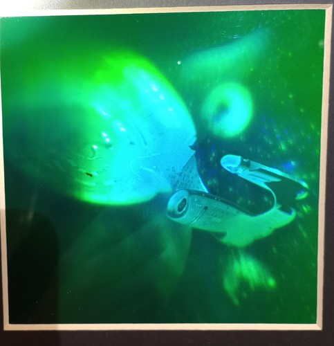 Vintage Magic Star Trek USS Enterprise NCC-1701D Red Beam Hologramm 3D Art mattiert - Bild 17 von 24