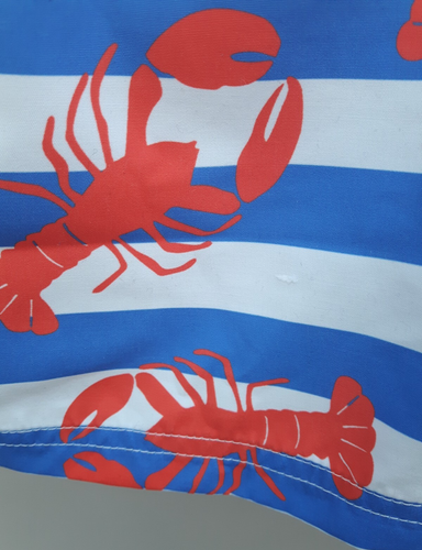 Boden Boys Age 8-9 Lobster Swimming Shorts - Picture 7 of 7