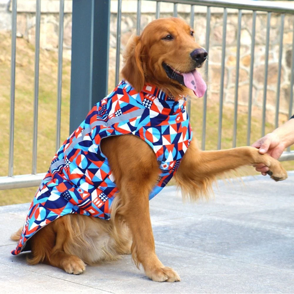 Pet supplies plus dog coats top