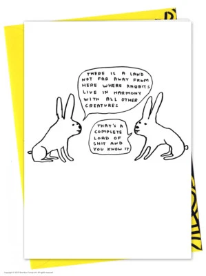BRAINBOX CANDY | DAVID SHRIGLEY David Shrigley Birthday Greetings Card Funny Comedy Humour Novelty Cheeky Joke