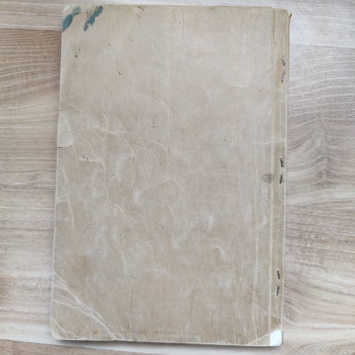 Missionslieder Ehrenamtslieder selten 20er Jahre antik christliches Gesangbuch Notenbuch - Bild 7 von 24