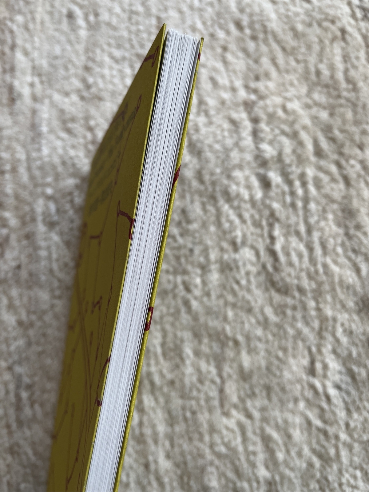 Bild 3 von 11
