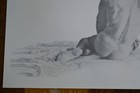 Picture 5 of 19