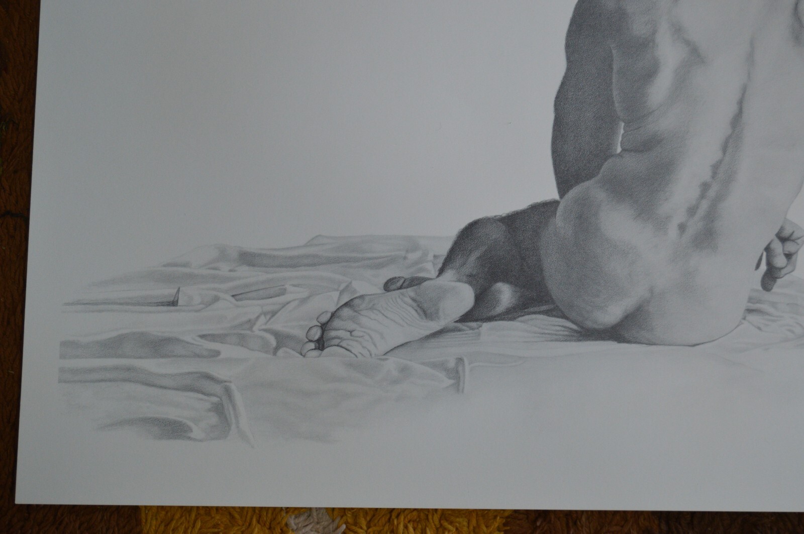 Picture 5 of 19