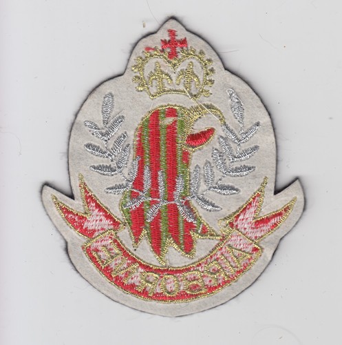 Vintage US Army 101st Airborne Division Veteran Patch Insignia Biker Service - Bild 2 von 2