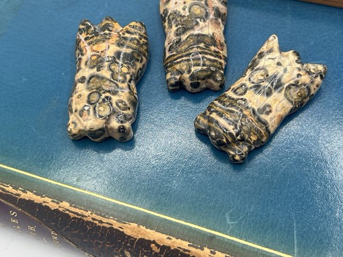 3 Stck. Vintage Leopardskin Gefleckt Geschnitzt Anhänger Perle Zikade Schmuckherstellung I - Bild 2 von 10
