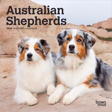 Australian Shepherds | 2026 7x14" (Hanging) Monthly Mini Wall Calendar