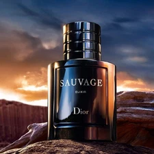 🔥Dior Savauge Elixir sealed 3.4  oz 100 ml🔥 (free shipping)🔥 (send offers)🔥