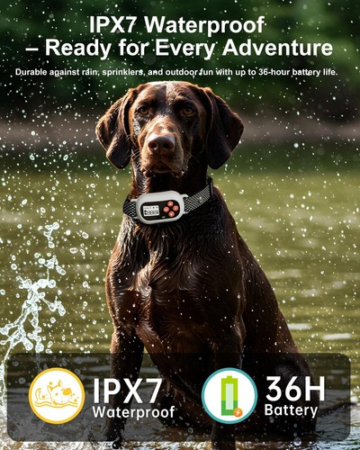 Wireless Electric Dog Fence System Adjustable 25-999yd Waterproof Collar - Picture 5 of 7