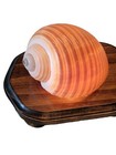 Seashell Light Vintage Wooden And Shell Bathroom Light Toggle Switch lamp EUC