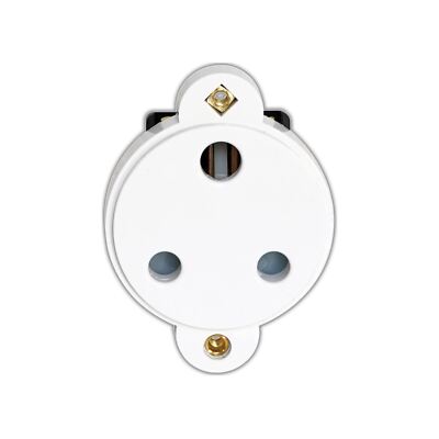 Robolights 15A Steckdoseneinsatz, weiß (15APS/W)