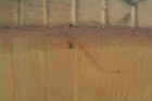Bild 5 von 12