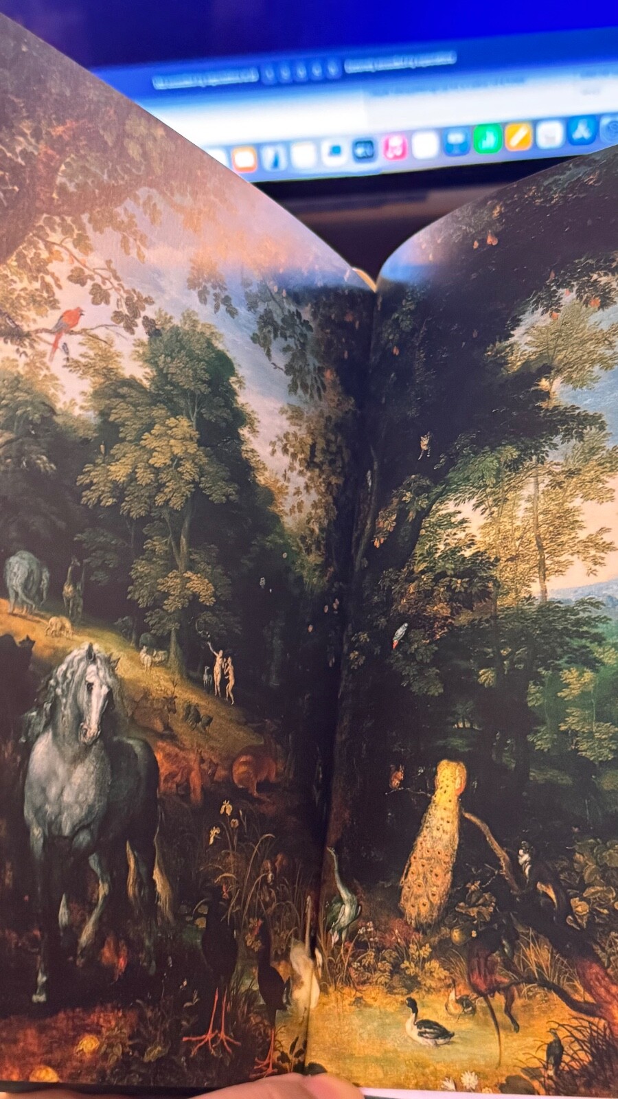 Picture 14 of 14