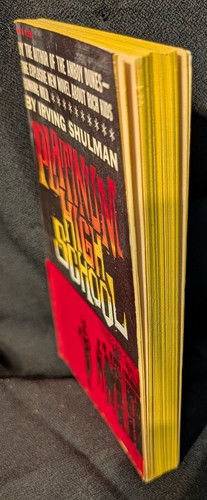 PLATIN HIGH SCHOOL von Irving Shulman Bantum #A2103 Mai.1960 JUVENILE DEL, PB - Bild 4 von 4
