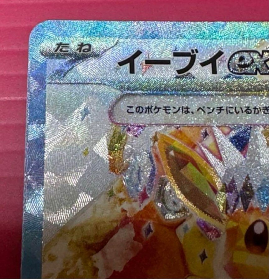 Pokémon Card terrastal festival ex Eevee ex SAR