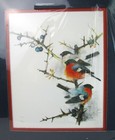 Foto 2 di 4