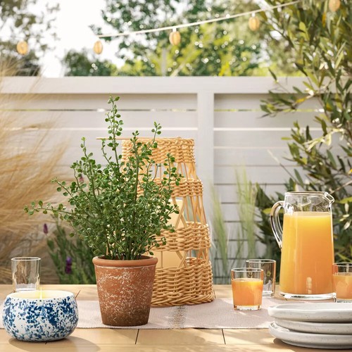 16" Unsheared Boxwood Artificial Plant - Threshold™ designed with Studio McGee