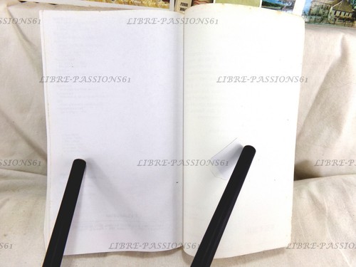 LES CONFESSIONS TOME II, JEAN-JACQUES ROUSSEAU, ÉDITIONS GF-FLAMMARION, 1998 - Imagen 15 de 15